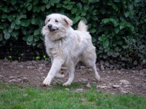 Whatsapp image 2025 07 28 at 09 20 56 (1)