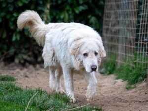 Whatsapp image 2025 07 28 at 09 20 56