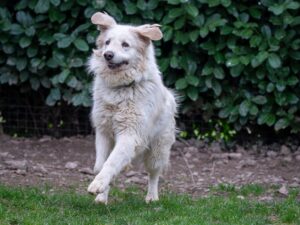 Whatsapp image 2025 07 28 at 09 20 57 (1)