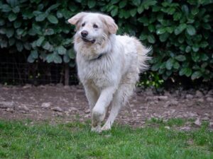 Whatsapp image 2025 07 28 at 09 20 57