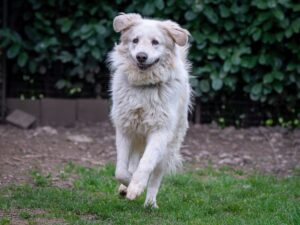 Whatsapp image 2025 07 28 at 09 20 58 (1)