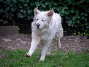 Whatsapp image 2025 07 28 at 09 20 58 (2)