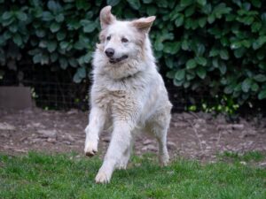 Whatsapp image 2025 07 28 at 09 20 58