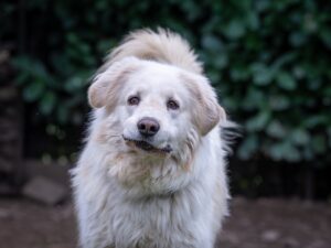 Whatsapp image 2025 07 28 at 09 20 59