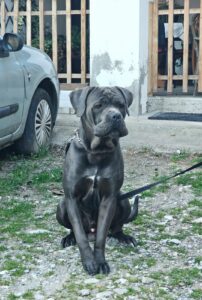 Img 20250513 wa0014(1)