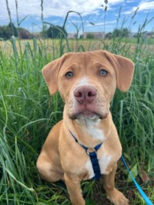 Max