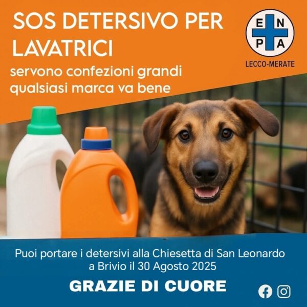 Whatsapp image 2025 08 09 at 16 54 55