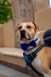 Whatsapp image 2025 10 13 at 16 42 59