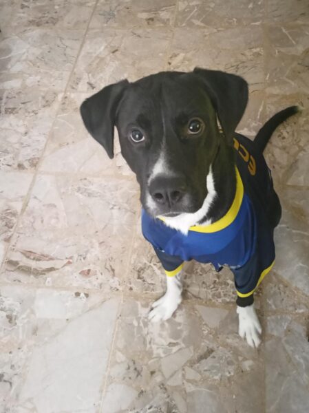 Whatsapp image 2025 10 13 at 16 49 48