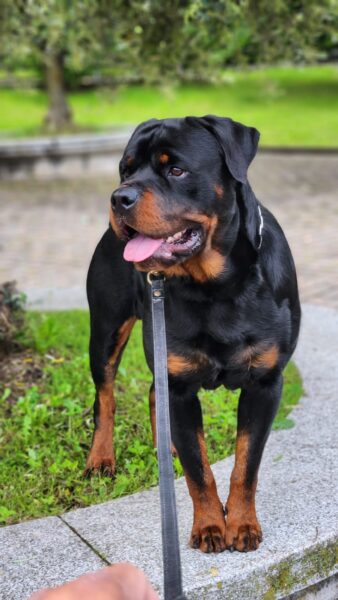 Whatsapp image 2025 10 13 at 16 49 57