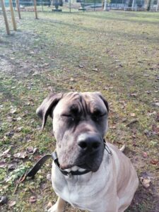 Whatsapp image 2025 11 04 at 20 38 54 (1)