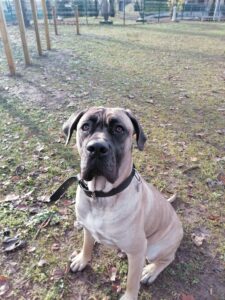 Whatsapp image 2025 11 04 at 20 38 54