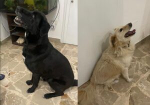 Screenshot 20260125 122618