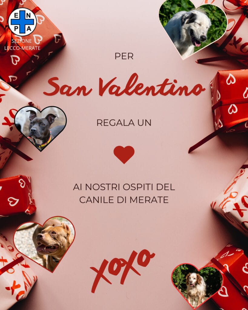 Rosso e rosa fotografico minimale elegante post instagram sconto san valentino