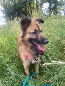 Img 20260429 wa0016