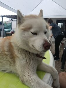 Img 20260511 wa0015