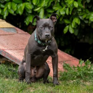 Img 20260603 wa0021