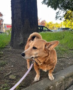 Img 20260611 wa0020