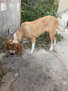 Img 20260815 wa0014