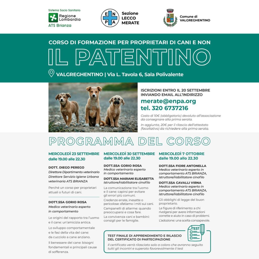 Img 20260728 wa0005