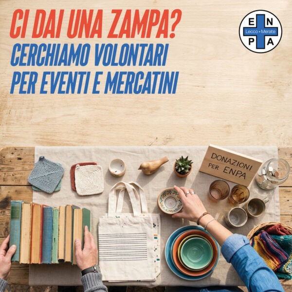 Volontari mercatini 20260902
