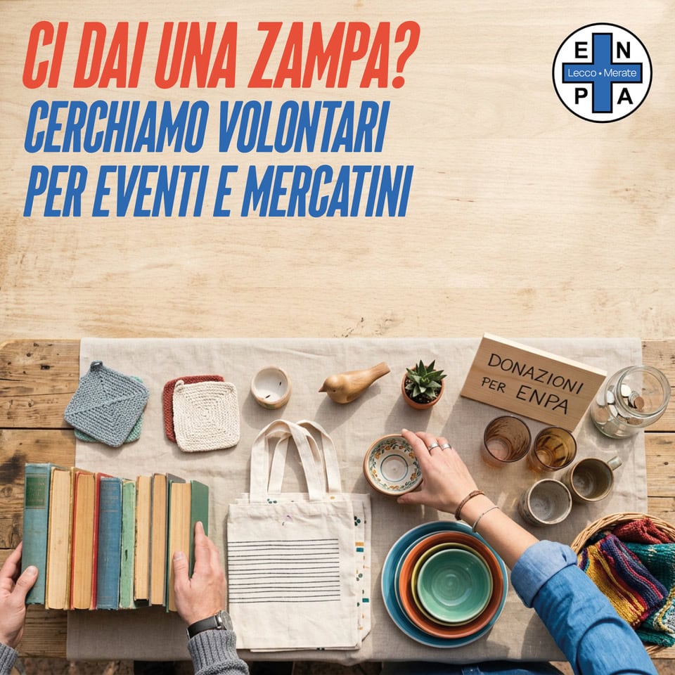 Volontari mercatini 20260902